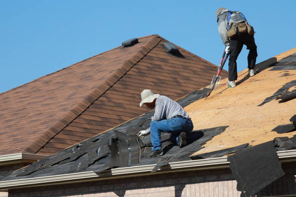 Best Gutter Installation and Repair  in Pine, AZ